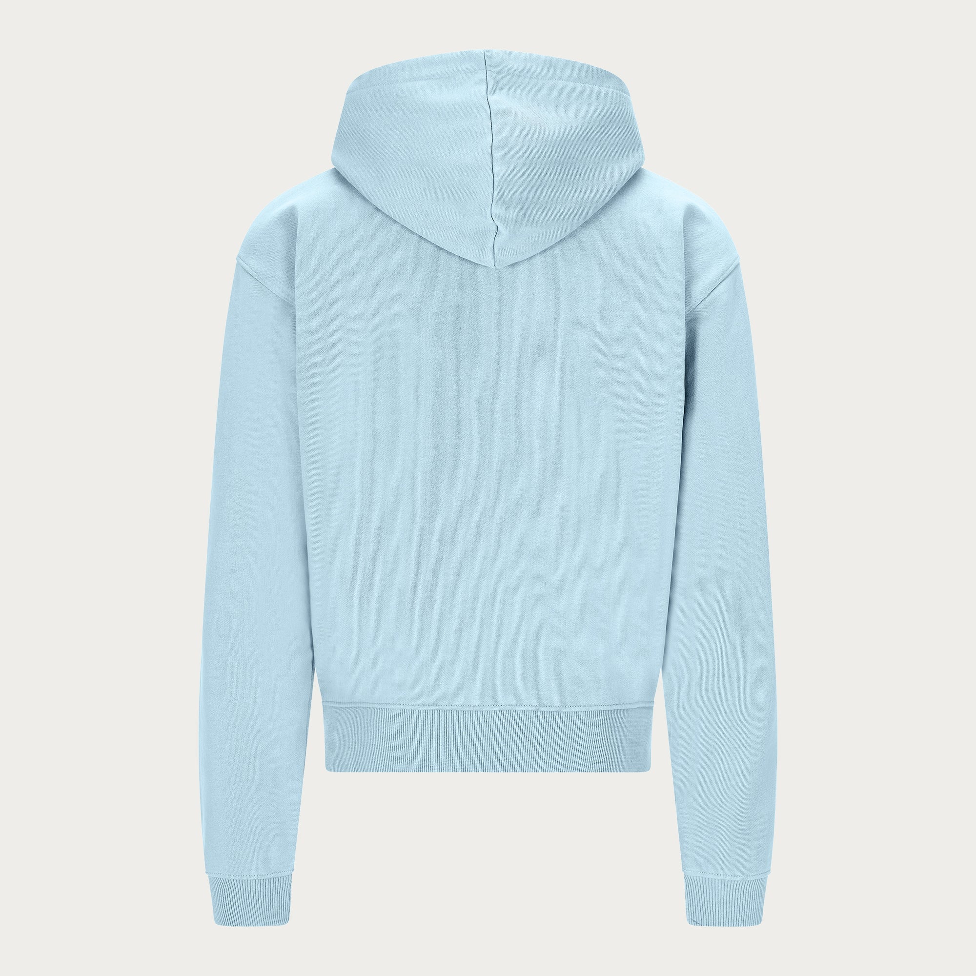 BABYBLUE BASIC ZIP HOODIE