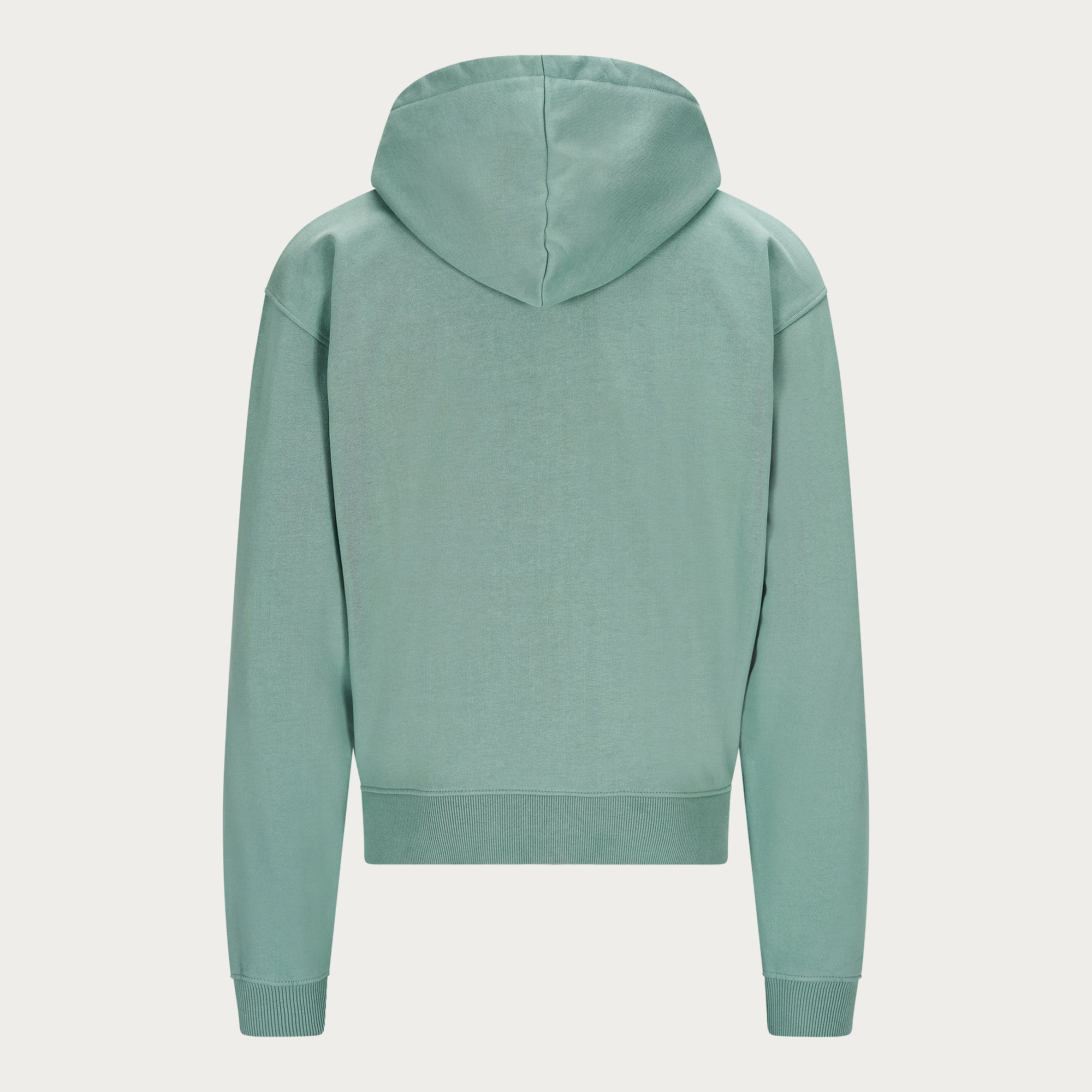 MINT BASIC ZIP HOODIE